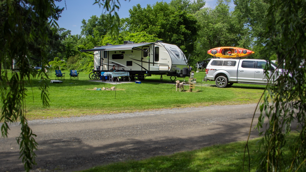 McLaren Campsite 84 - photo by Cheryl Coles