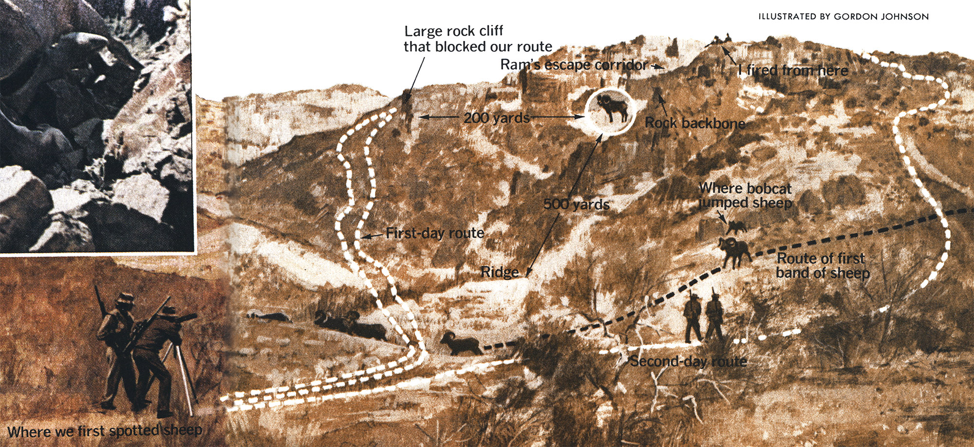 An illustration of a spot and stalk for desert bighorn.