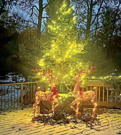 Christine Thomas: Little cabin greens deck the halls in Plover, Wis. – Outdoor News