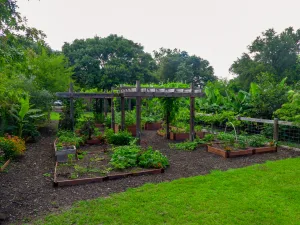 The Botanic Garden at Georgia Southern University educates visitors about 1930s farm life.