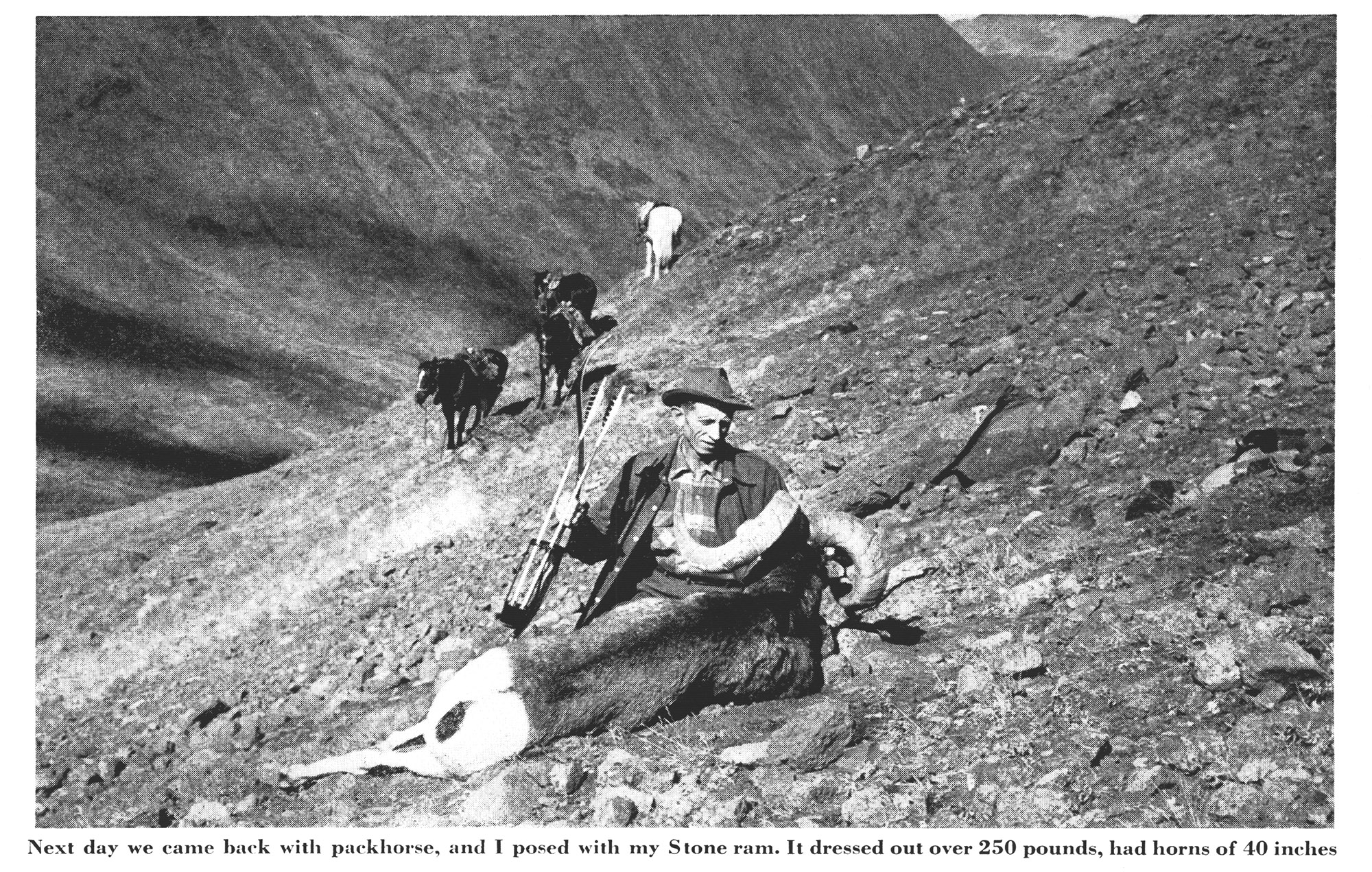 Fred Bear with a stone sheep.