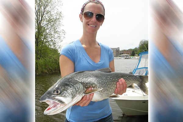 ‘Herculean effort’ boosted recovery of lake trout in Lake Superior – Outdoor News