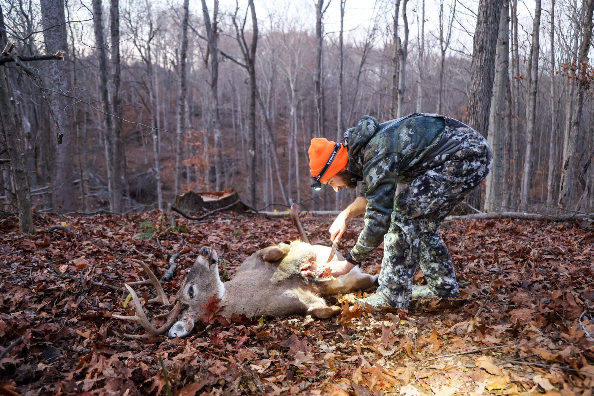 A hunter guts a deer in the woods.