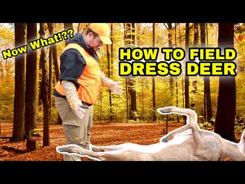 How to Field Dress a Deer, Step by Step