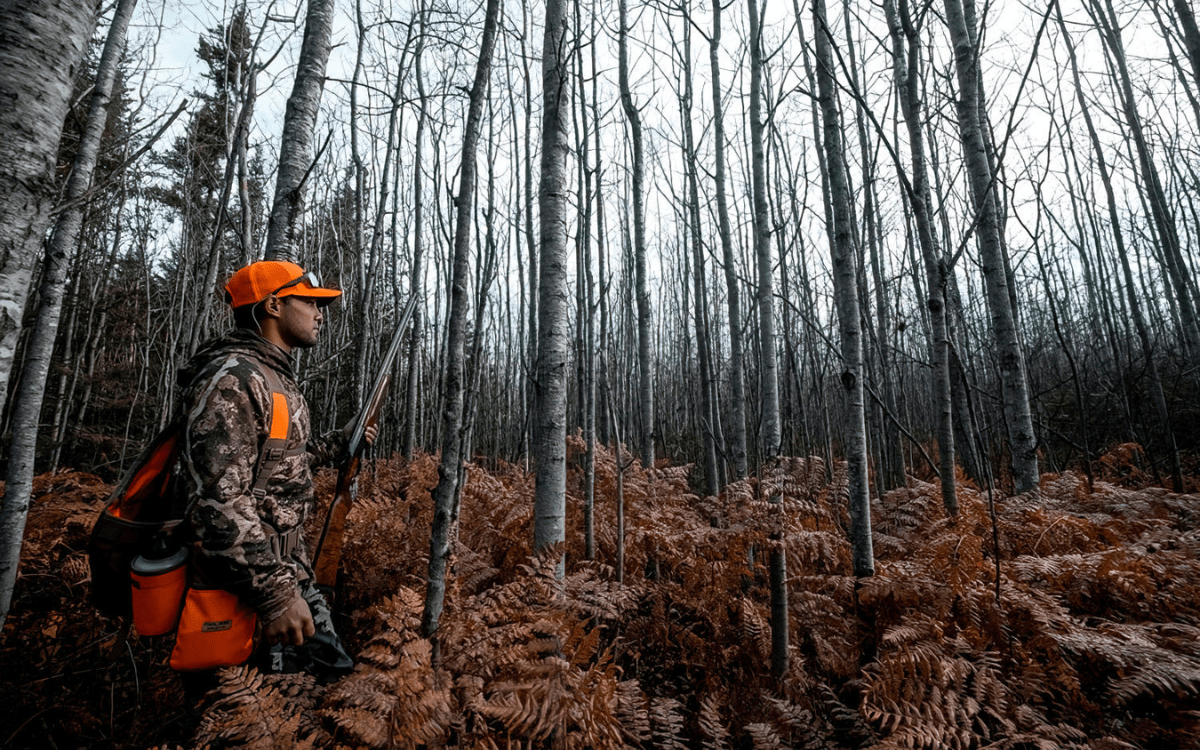 How to Find and Hunt Grouse