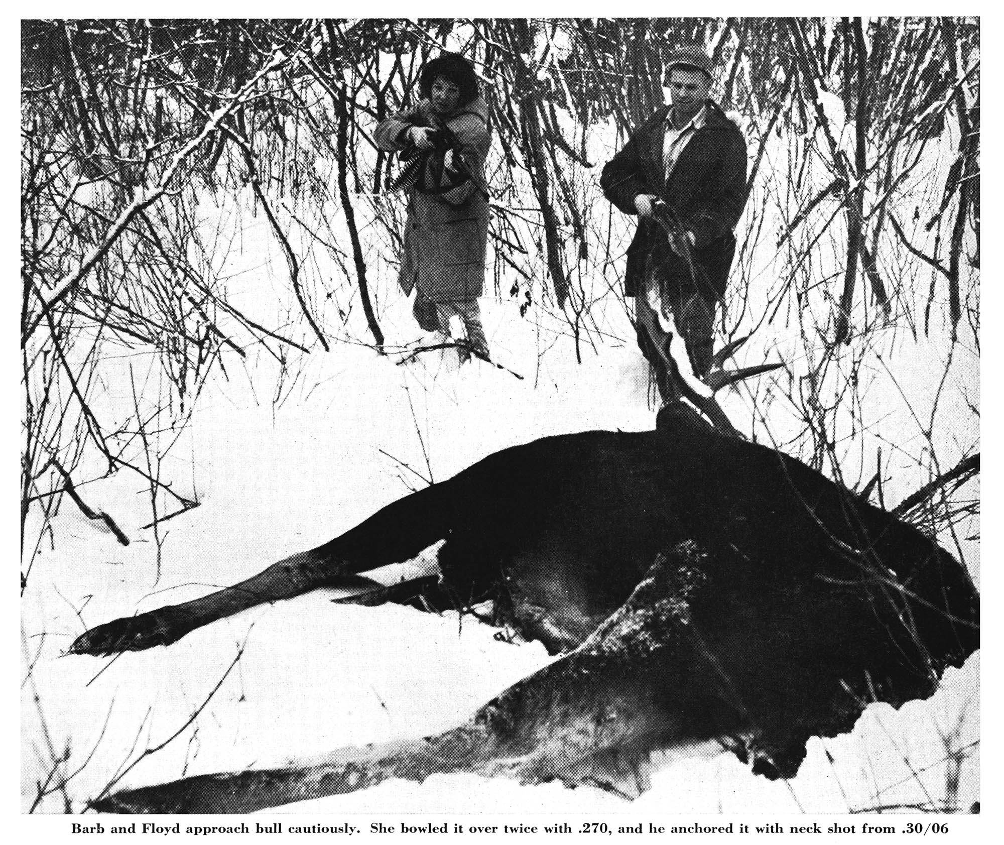 Two people with rifles approach a dead moose.