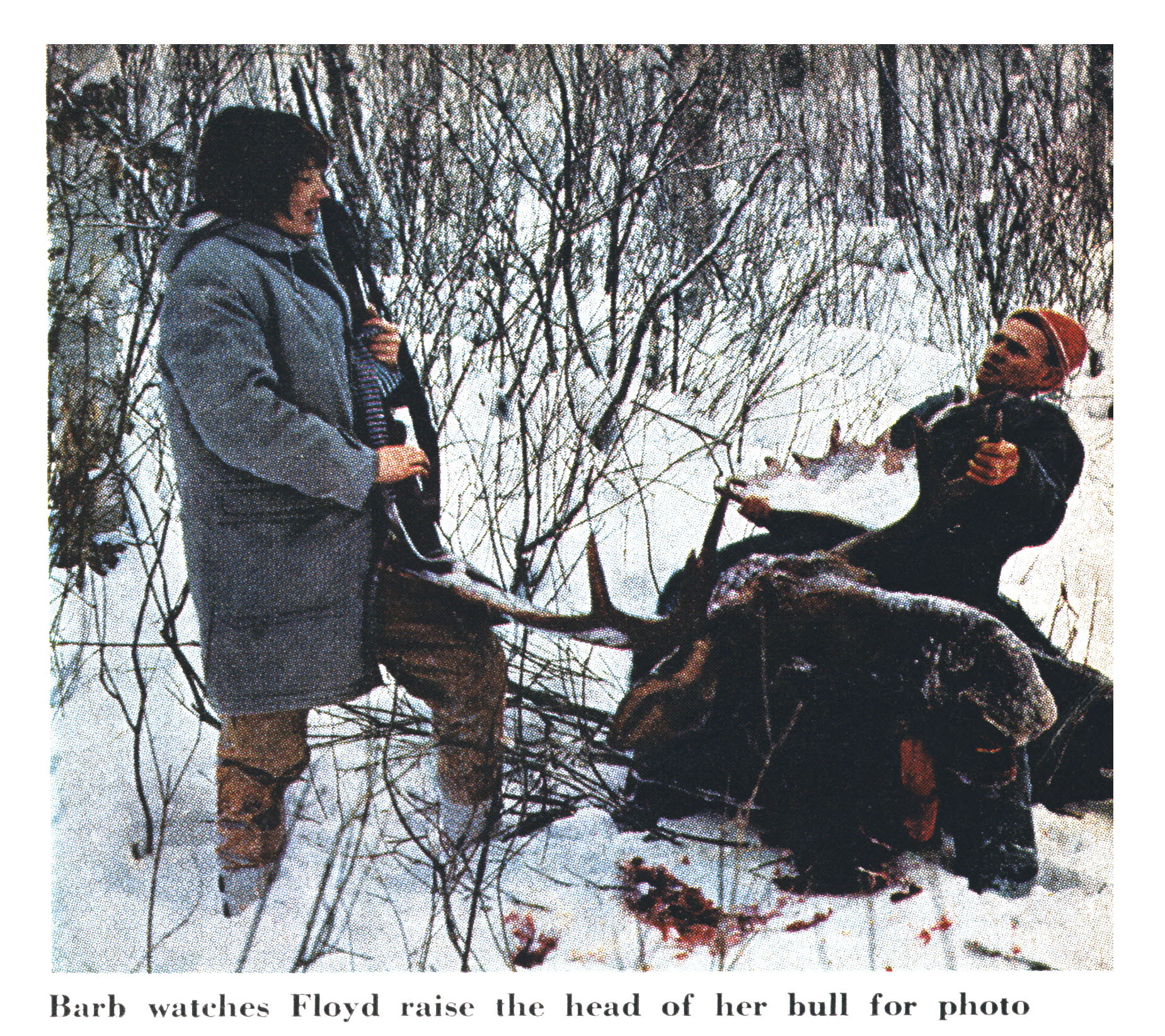 An old color photograph of two hunters beside a moose.