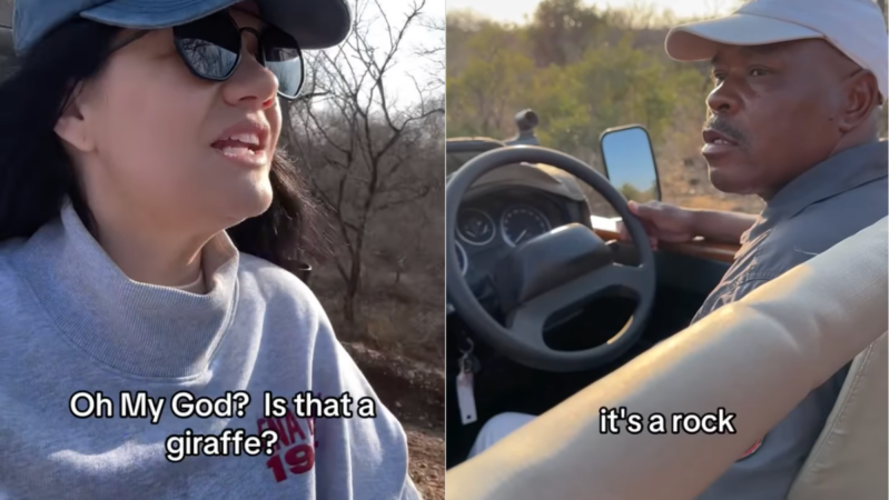 ‘It’s a Rock’: Funny Video Pokes Fun of Tourists on Safari