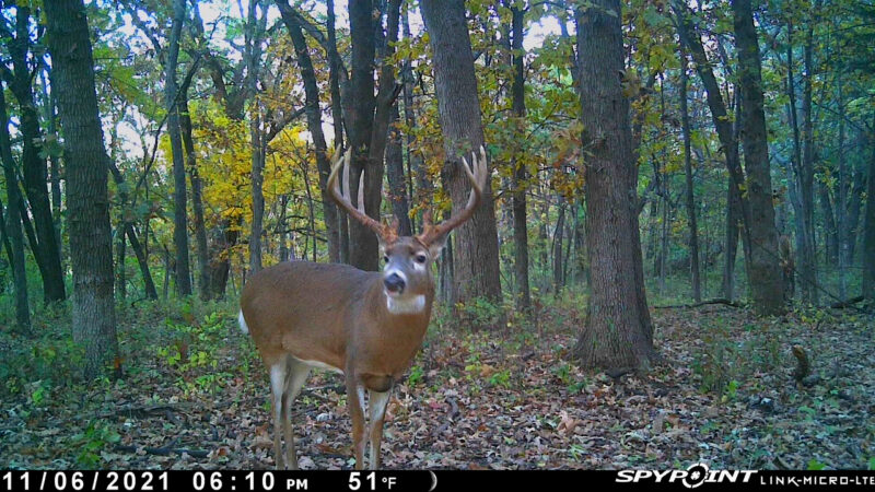 Kansas Farmer Tags What Could Be One of the Top 5 Archery Bucks Ever Taken in the State