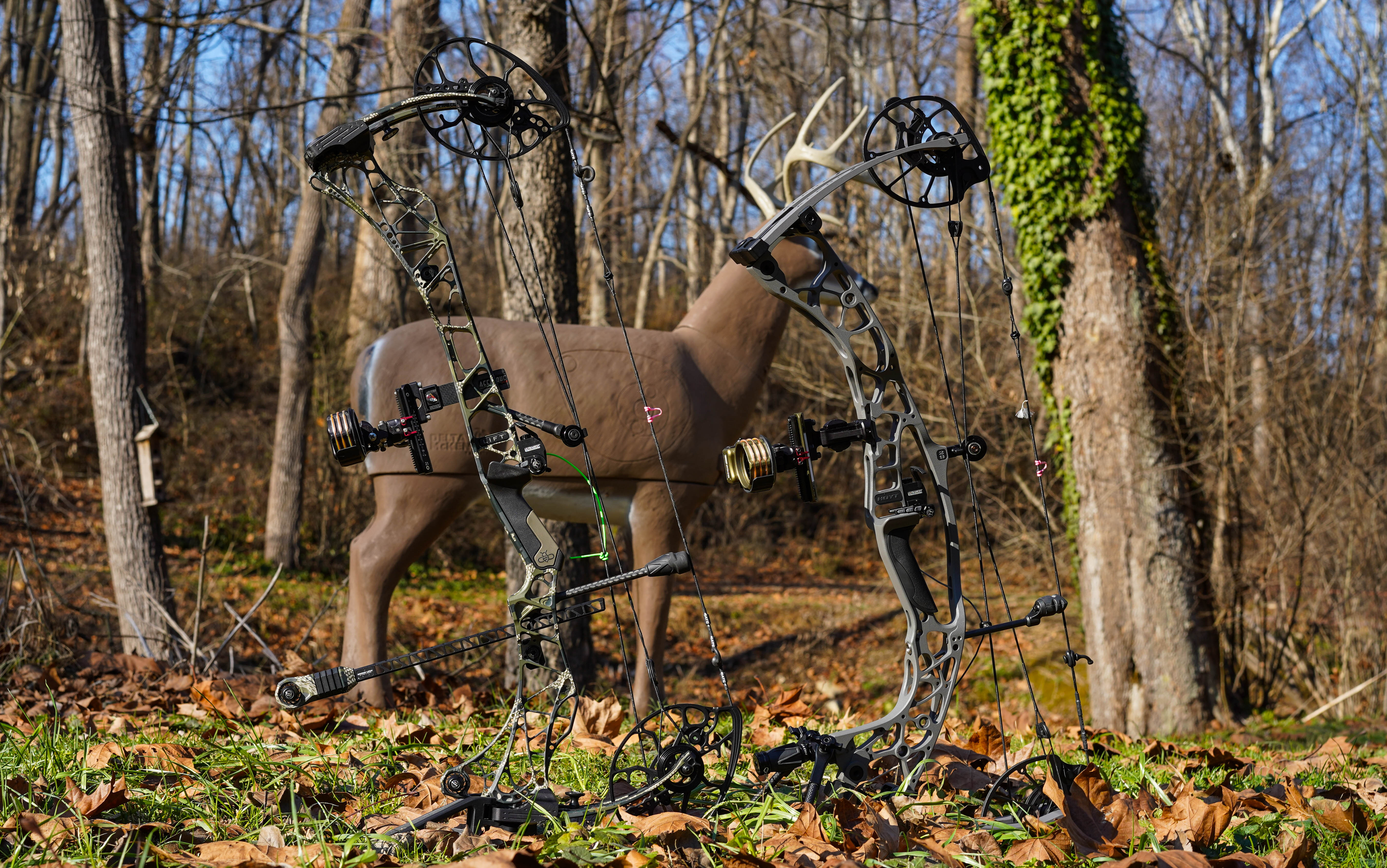 Hoyt vs Mathews bow test 