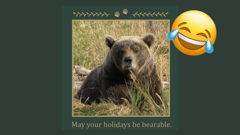 ‘May Your Holidays Be Bearable’ (And Other Blunt Greetings from NPS)