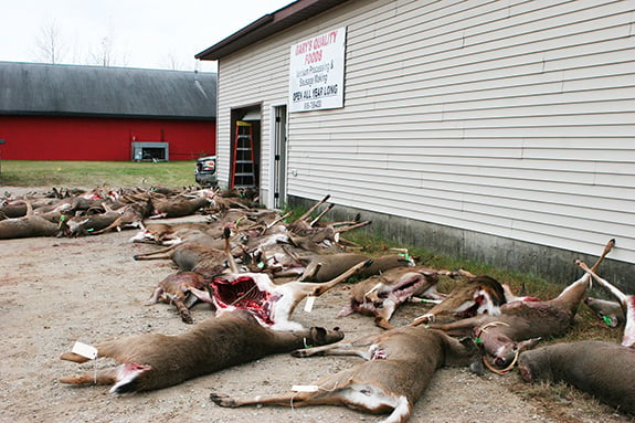 Menominee Co. sees second highest whitetail harvest of Michigan firearms season – Outdoor News