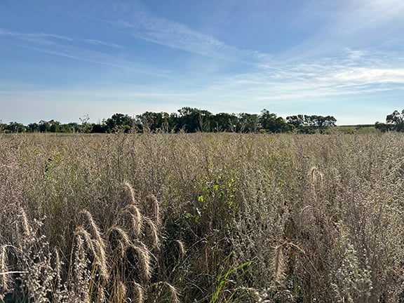 Nearly 4,000 acres conserved in Coshocton, Ohio – Outdoor News