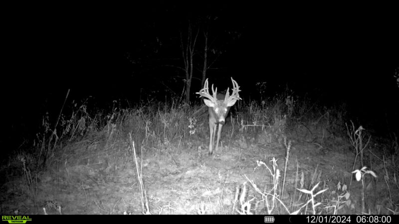 Ohio Rifle Hunter Makes His Second Shot Count, Tags a 22-Pointer on Opening Day