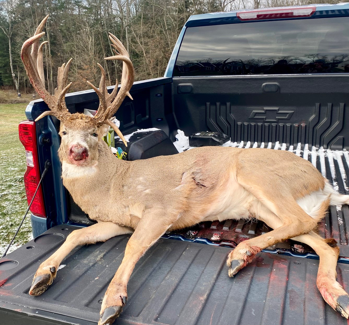 A buck on a tailgate.