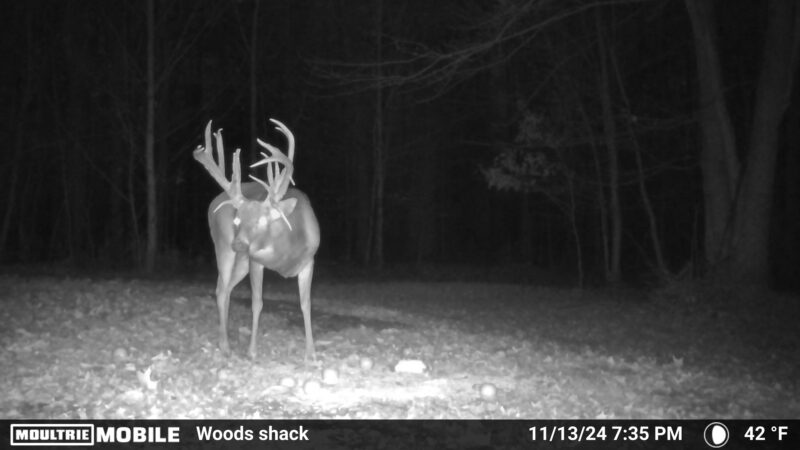 On His First Ever Solo Hunt, Ohio Man Arrows 200-Class Nontypical Drop-Tine Buck