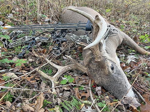 Patrick Durkin: CWD, sick deer, bones all common in SW Wisconsin – Outdoor News