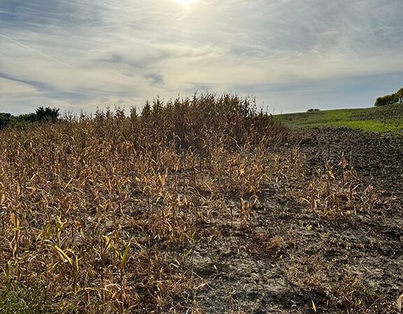 Pennsylvania bill would use fences around crops to stem ag damage, includes PGC cost-share funding – Outdoor News