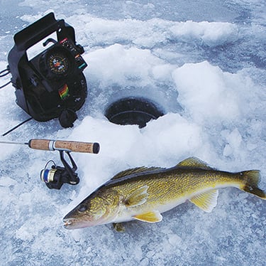 Pro Fishing Tip of the Week: Using the right lure for winter walleyes – Outdoor News