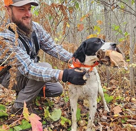 Pro Tip of the Week: Deer season’s pause on grouse hunting could benefit grouse hunters – Outdoor News