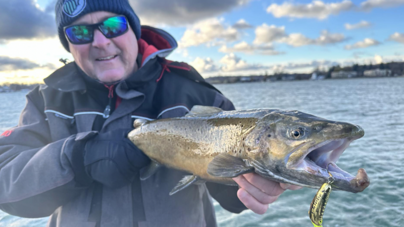 Quick Strike Podcast: Why the Flatfish Is the Ultimate Winter Bait