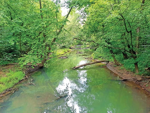 Raccoon Creek given state scenic status by Ohio DNR – Outdoor News