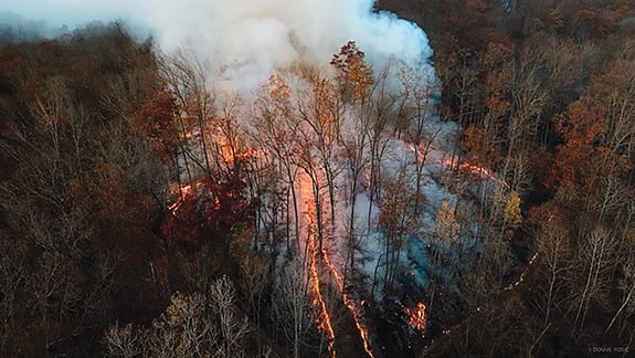 Record number of wildfires seen in Pennsylvania this autumn – Outdoor News