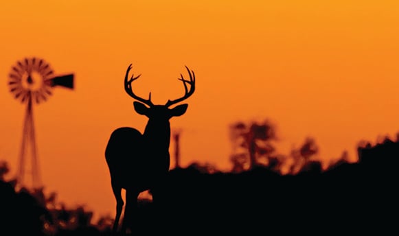 Ryan Rothstein: Looking for Christmas gift ideas? Here’s how to set up a new deer hunter – Outdoor News