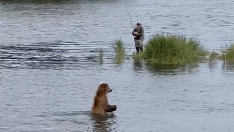 ‘Sometimes You Have to Share Your Fishing Spot’ . . . With a Bear (Video)