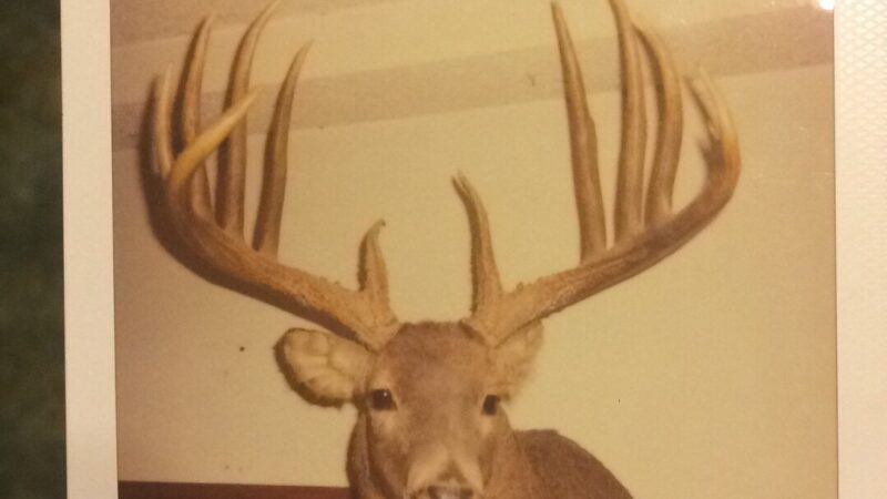 Son Finally Tracks Down His Dad’s Long-Lost Buck. It’s the Biggest Typical Whitetail Ever Killed in Kansas