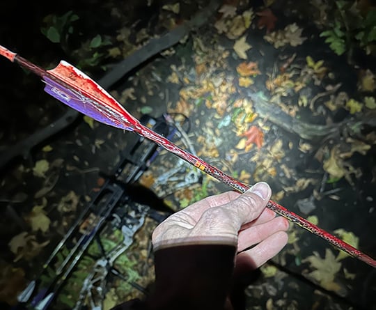 Steve Carney: Should we reuse arrows after they have been shot at an animal? – Outdoor News