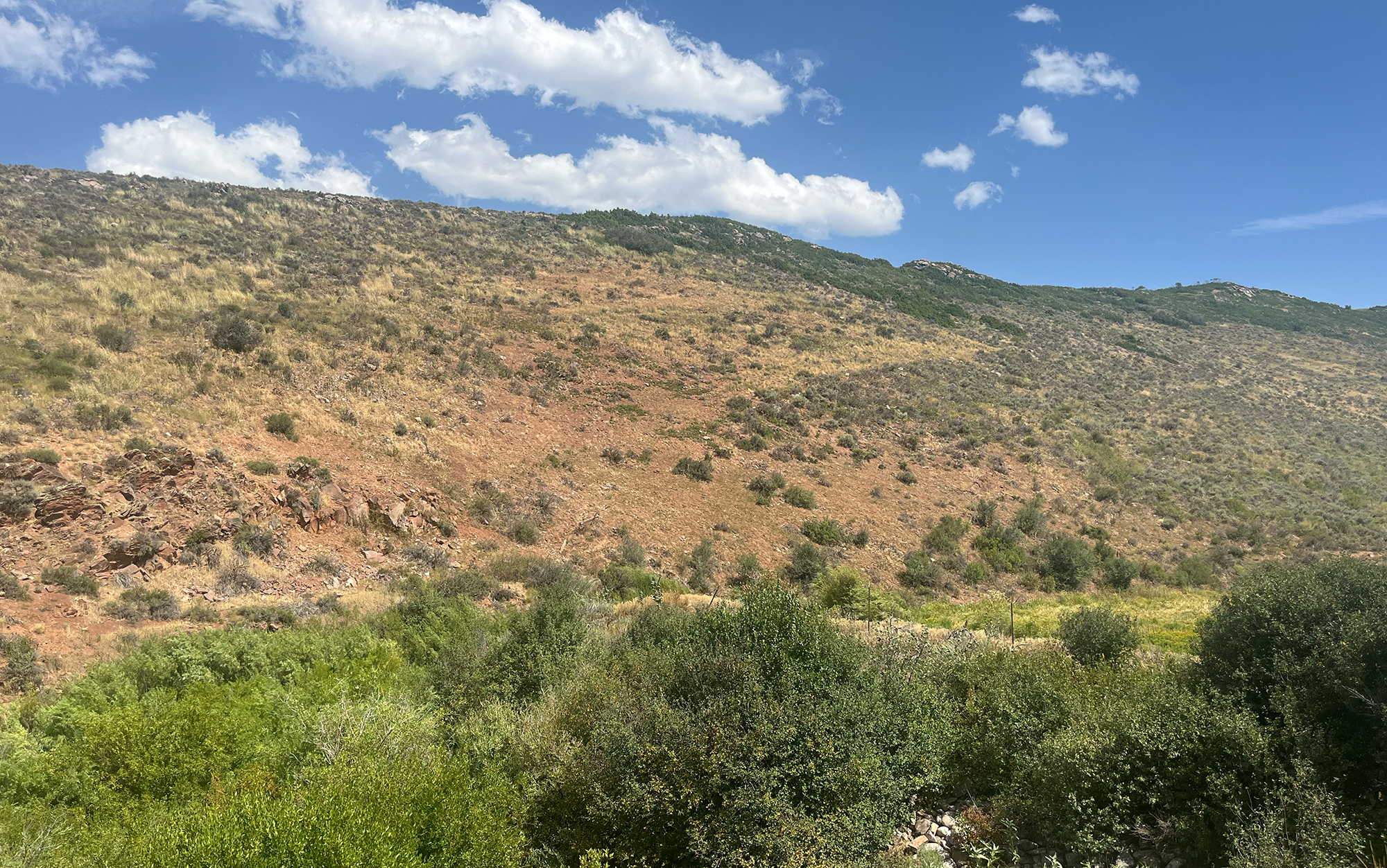 Landscape of a rocky hillside with no filter or lens.