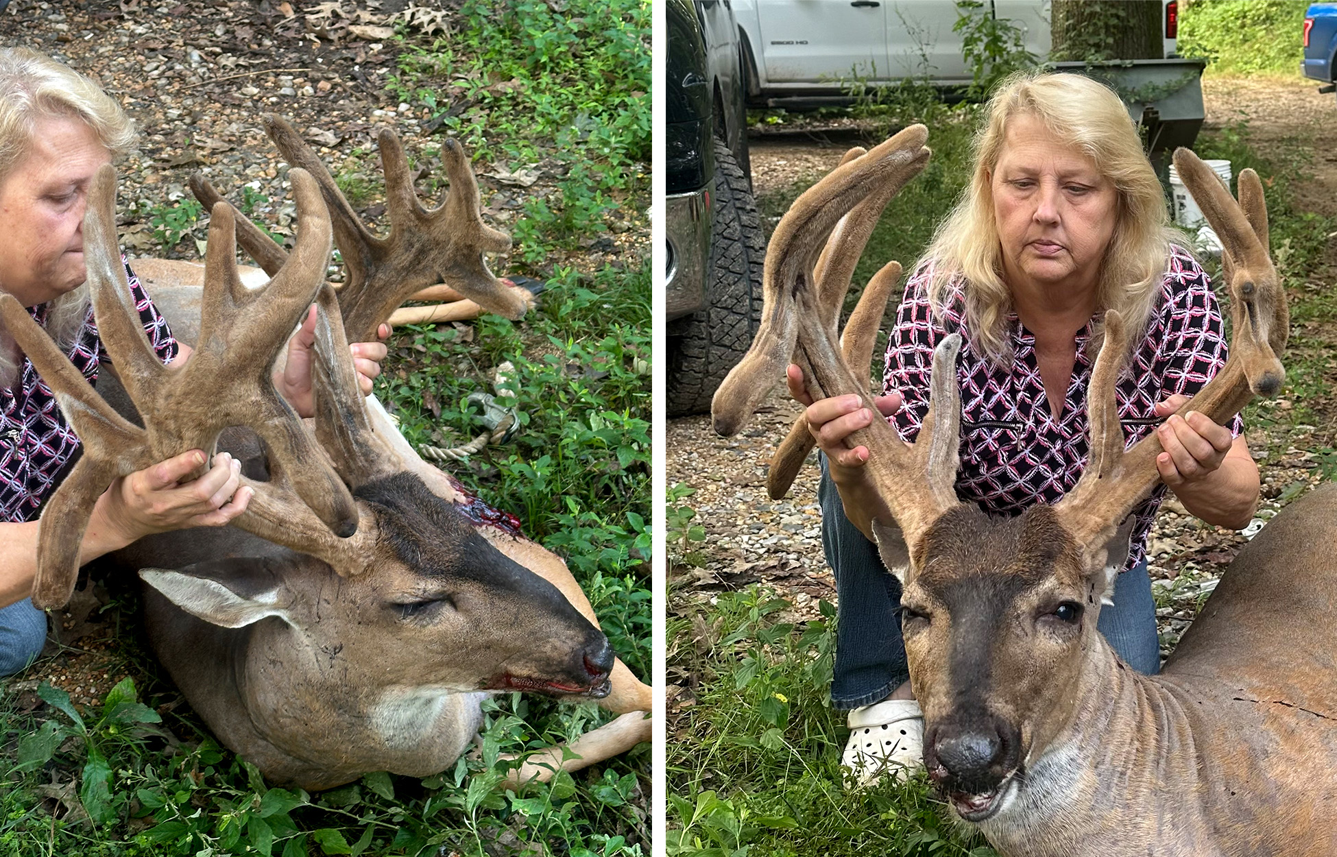 A hunter with a buck in velvet.