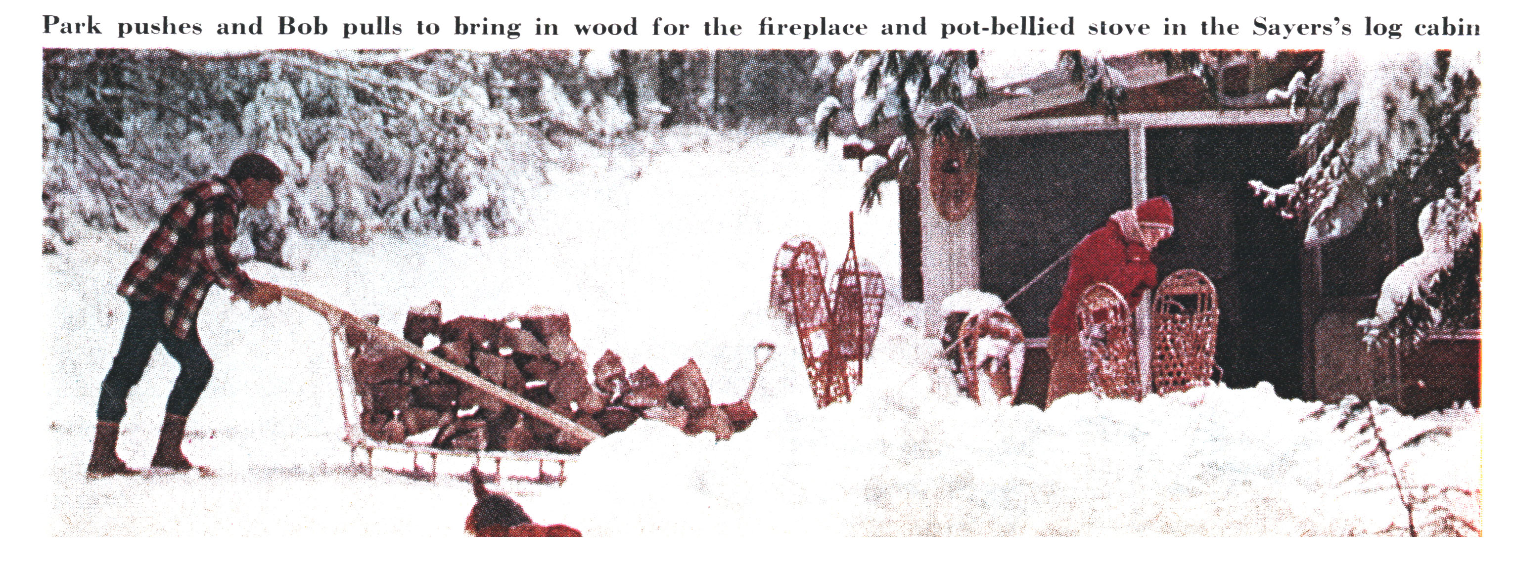 An old photo of a man pushing a sled with firewood.