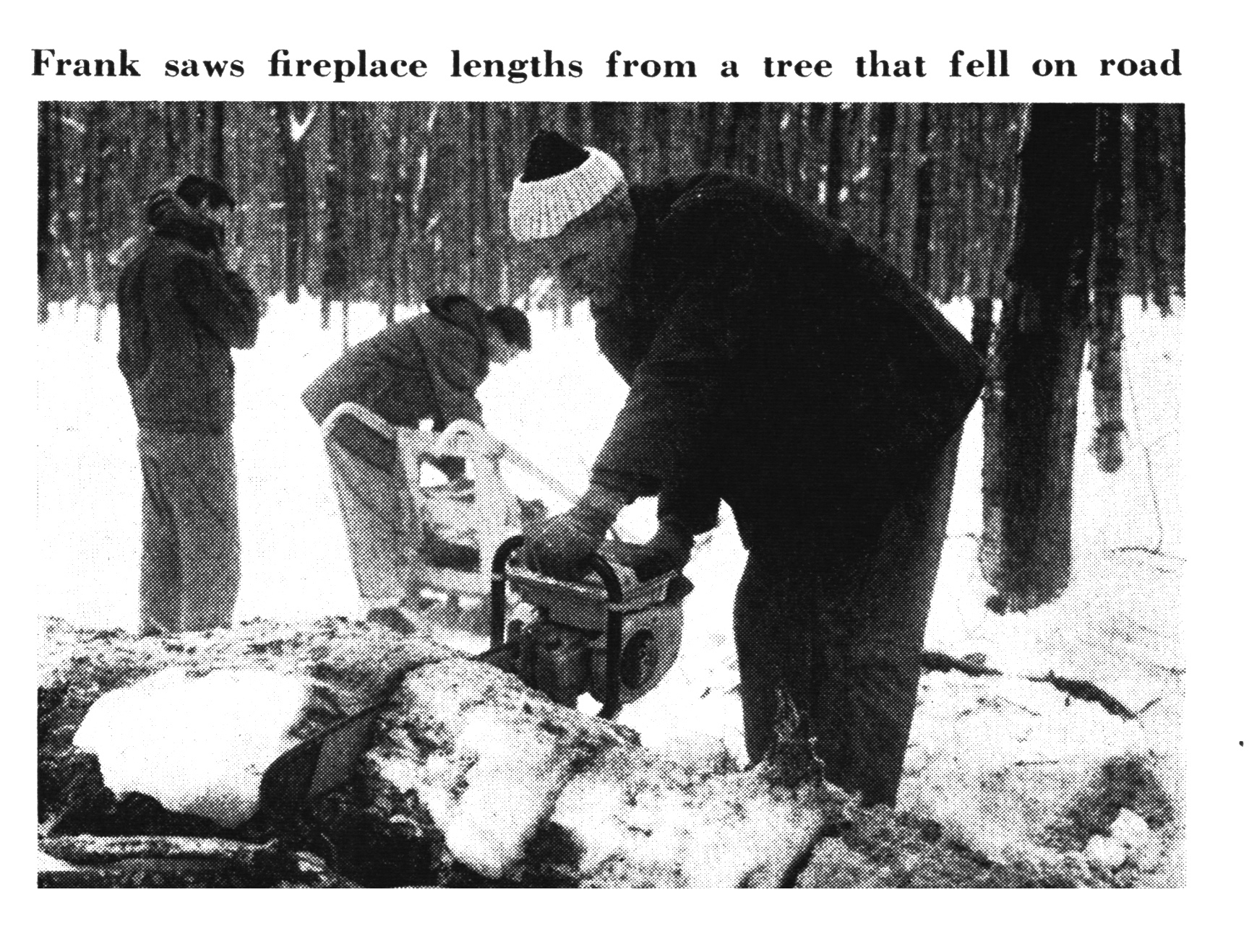 Cutting a fallen tree with a chainsaw.