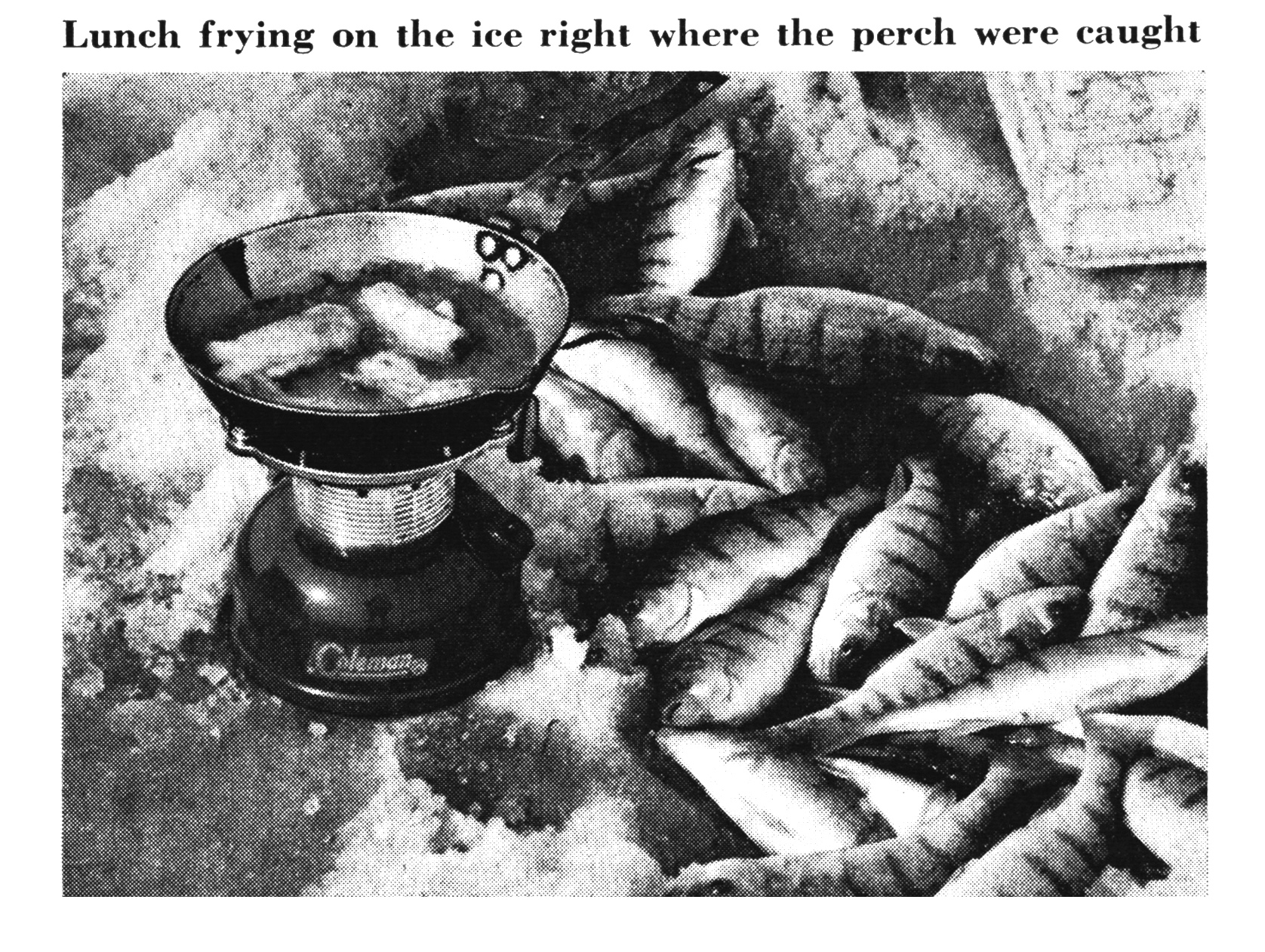 an old black and white photo of a mess of perch