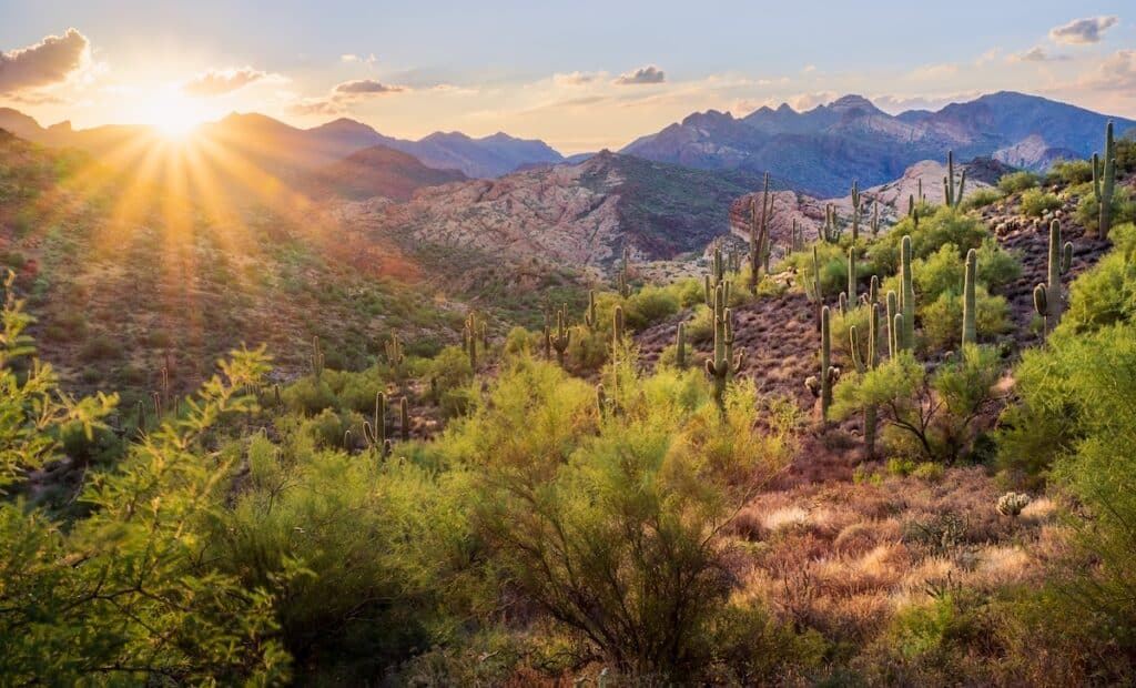 Scenic view of Sonoran desert near Phoenix, Arizona