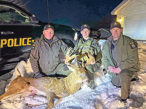 Trophy buck, known by local hunters as ‘King Louie,’ taken illegally in New York – Outdoor News