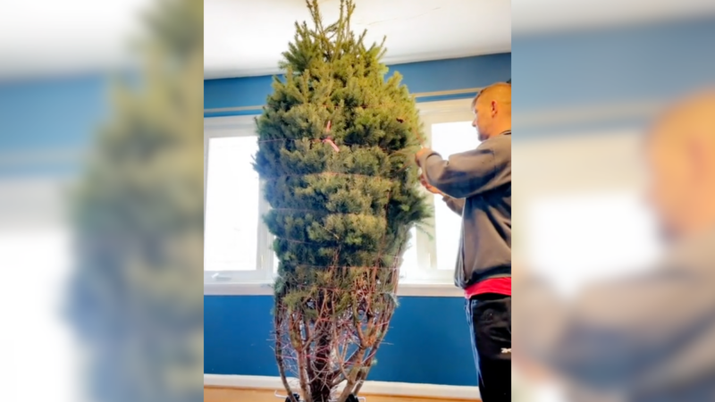 Wait for It: Christmas Tree Knocks Man Down in Hilarious Viral Video