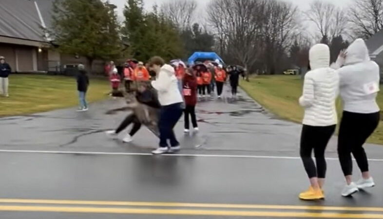 WATCH: Deer Slams Into Runners at Turkey Trot in New York