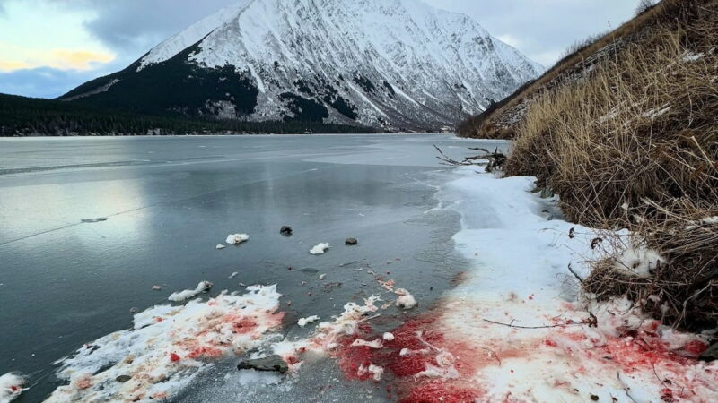 ‘What Is Going on Here?’ Ice Skater Stumbles Upon Grisly Scene