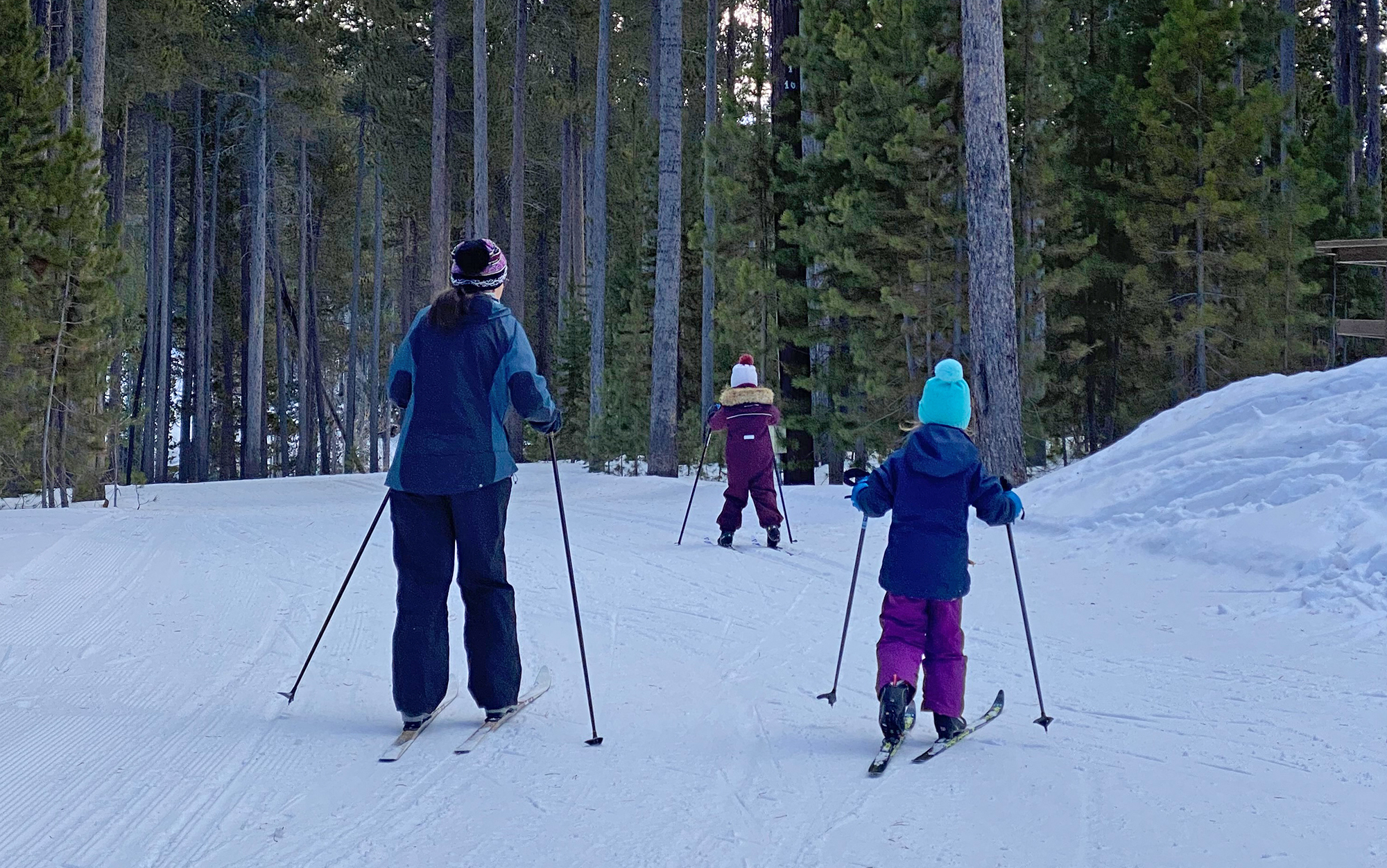 A family nordic skis.