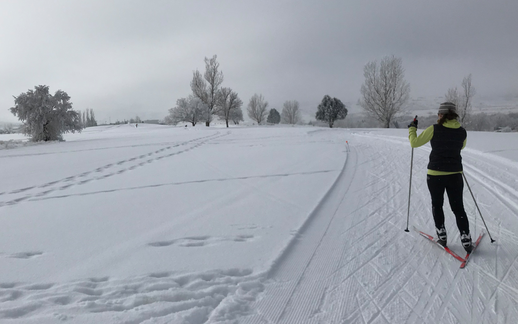 Woman cross country skis on groomed trail.