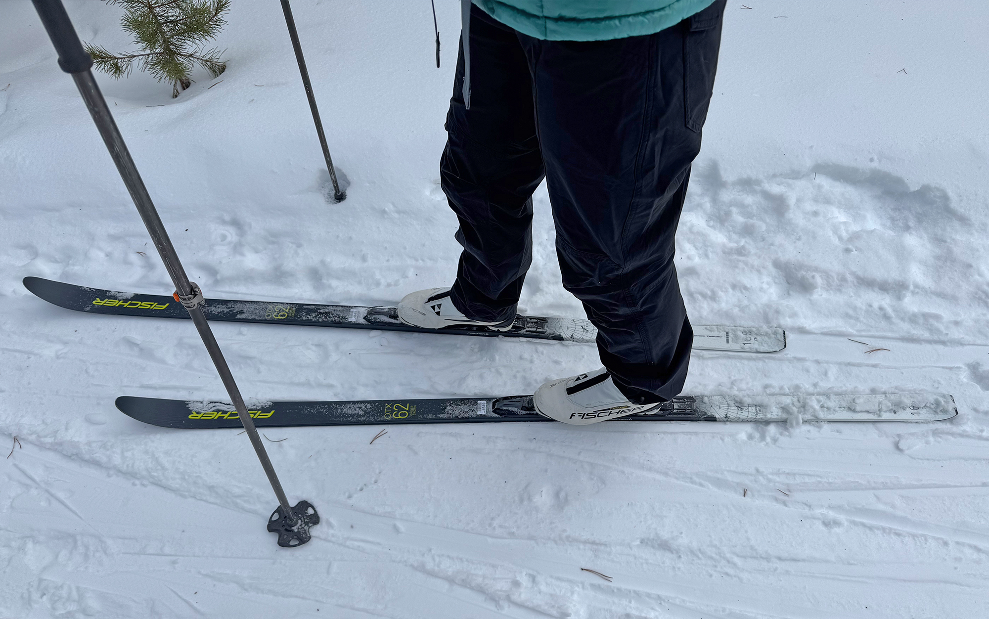 Skier wears Fischer classic nordic skis.