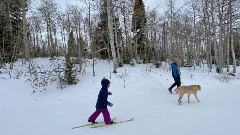 What You Need (And Need To Know) To Start Cross Country Skiing