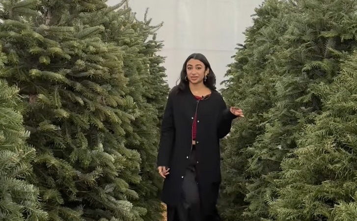 What’s Better for the Environment—Real or Fake Christmas Trees?