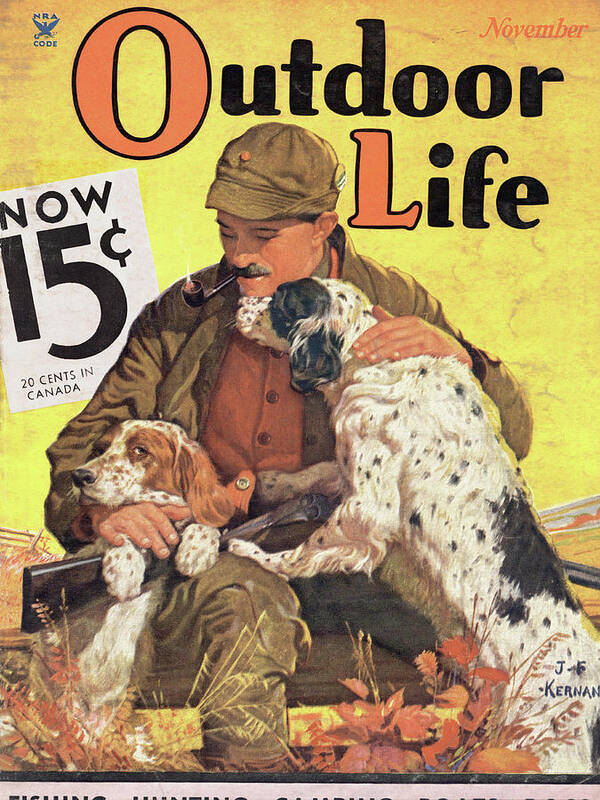 An old outdoor life cover of a hunter petting two setters.