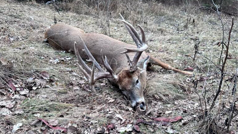 Army Vet Gets His First Whitetail Buck on Last Day of the Season, and It’s a 19-Point Giant