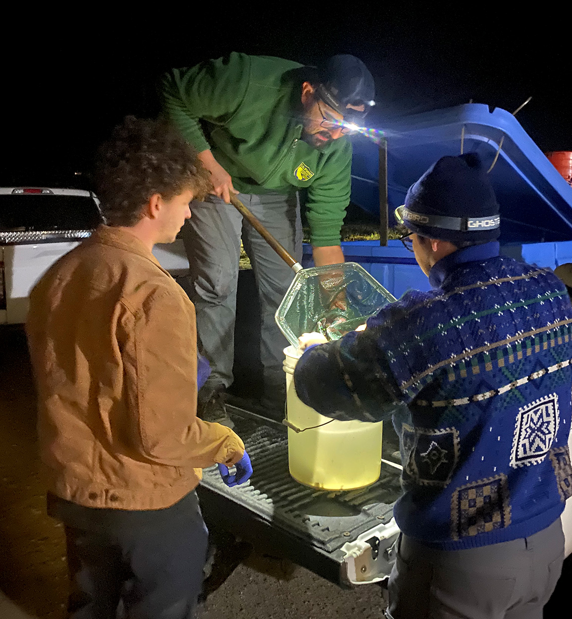 A biologist looks at a steelhead in the net.