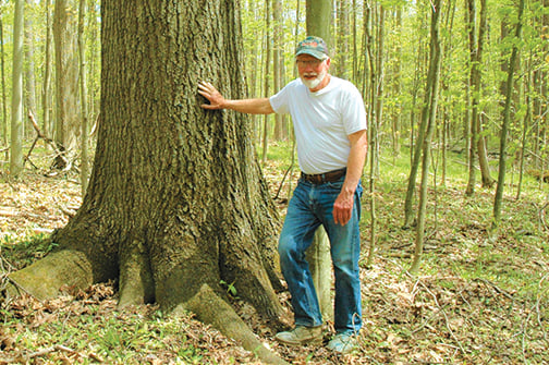 Crawford County forester wins Pennsylvania’s Aldo Leopold award – Outdoor News